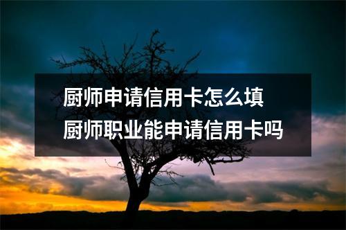 厨师申请信用卡怎么填 厨师职业能申请信用卡吗