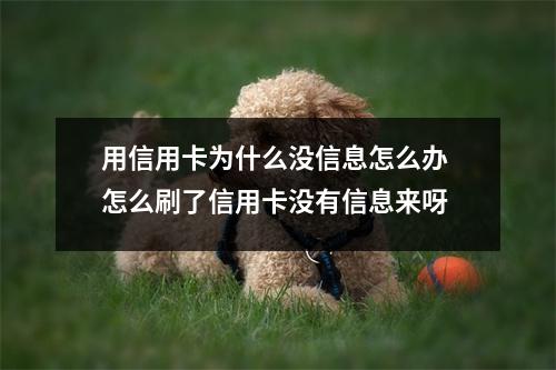 用信用卡为什么没信息怎么办 怎么刷了信用卡没有信息来呀