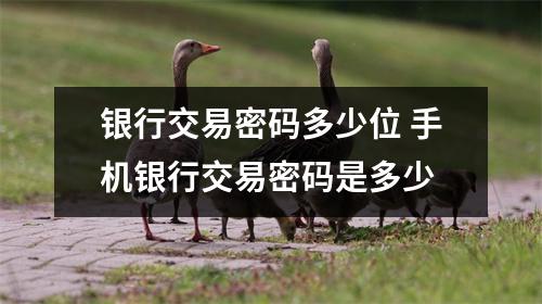银行交易密码多少位 手机银行交易密码是多少