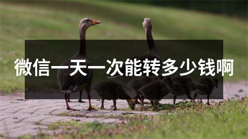 微信一天一次能转多少钱啊