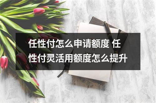 任性付怎么申请额度 任性付灵活用额度怎么提升