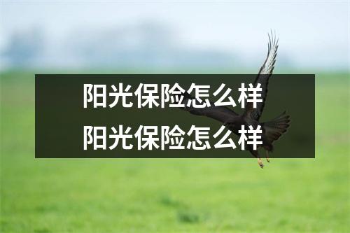 阳光保险怎么样 阳光保险怎么样