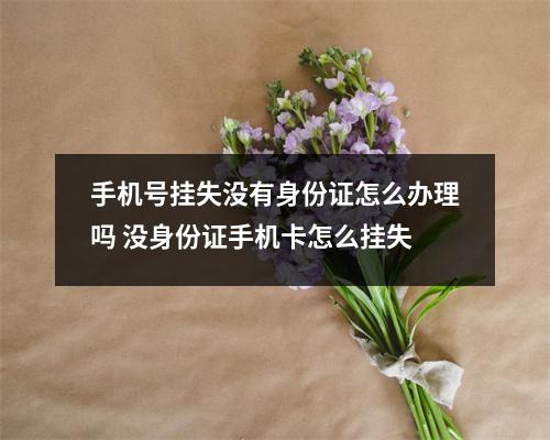 手机号挂失没有身份证怎么办理吗 没身份证手机卡怎么挂失