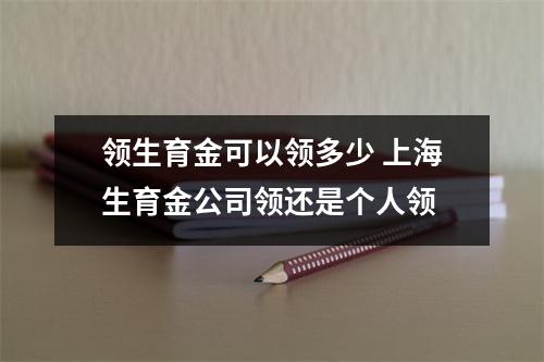 领生育金可以领多少 上海生育金公司领还是个人领