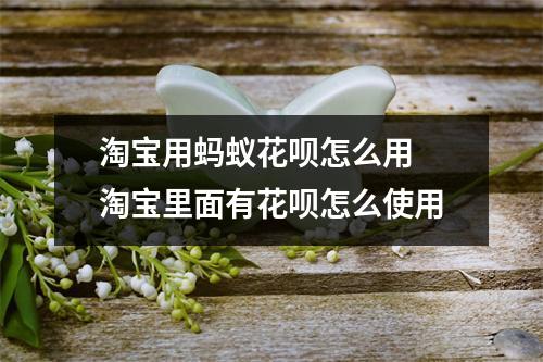淘宝用蚂蚁花呗怎么用 淘宝里面有花呗怎么使用