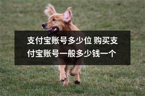 支付宝账号多少位 购买支付宝账号一般多少钱一个