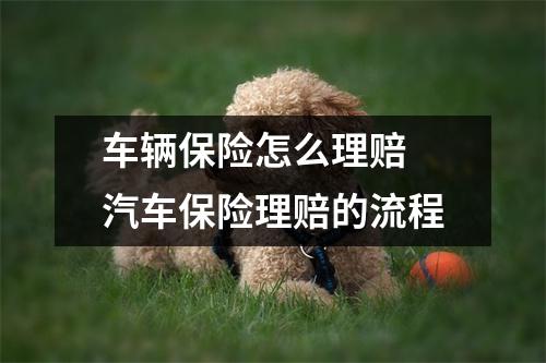 车辆保险怎么理赔 汽车保险理赔的流程