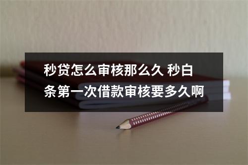秒贷怎么审核那么久 秒白条第一次借款审核要多久啊