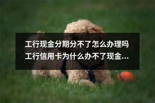 工行现金分期分不了怎么办理吗 工行信用卡为什么办不了现金分期