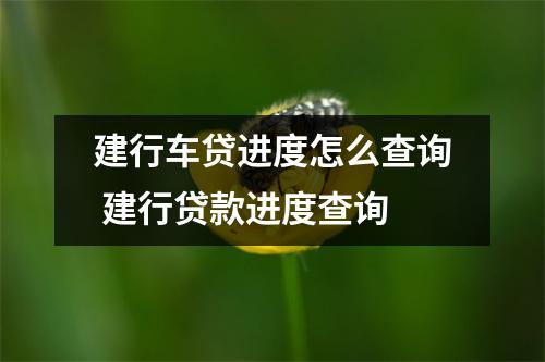 建行车贷进度怎么查询 建行贷款进度查询