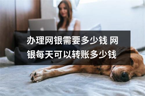 办理网银需要多少钱 网银每天可以转账多少钱
