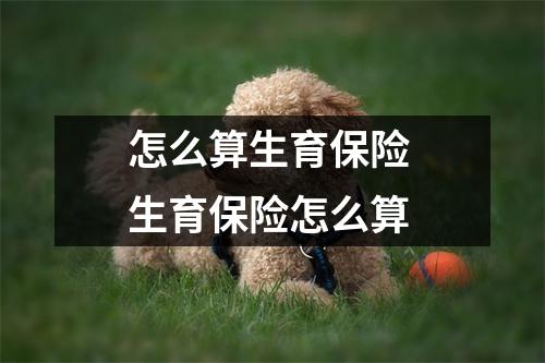 怎么算生育保险 生育保险怎么算