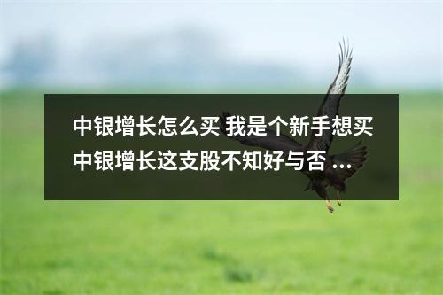 中银增长怎么买 我是个新手想买中银增长这支股不知好与否 望大家推荐几支