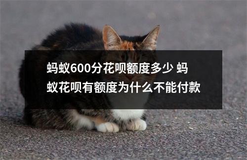 蚂蚁600分花呗额度多少 蚂蚁花呗有额度为什么不能付款