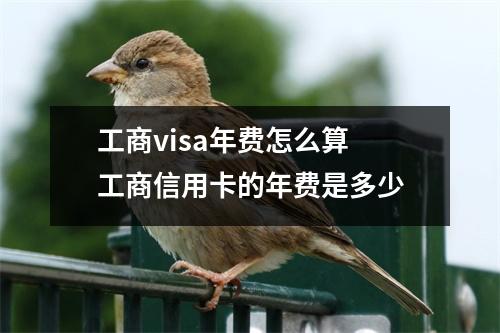 工商visa年费怎么算 工商信用卡的年费是多少