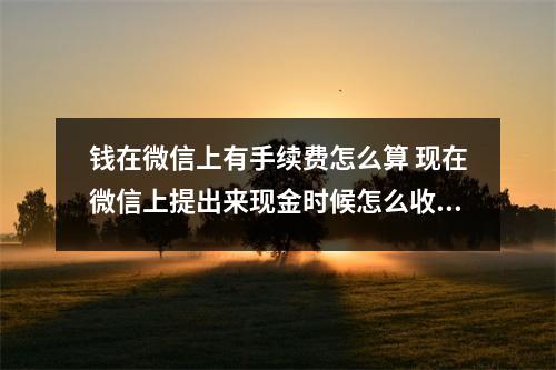 钱在微信上有手续费怎么算 现在微信上提出来现金时候怎么收手续费了啊不是到1000元钱