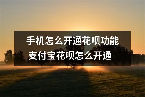 手机怎么开通花呗功能 支付宝花呗怎么开通