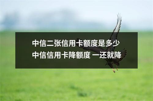 中信二张信用卡额度是多少 中信信用卡降额度 一还就降