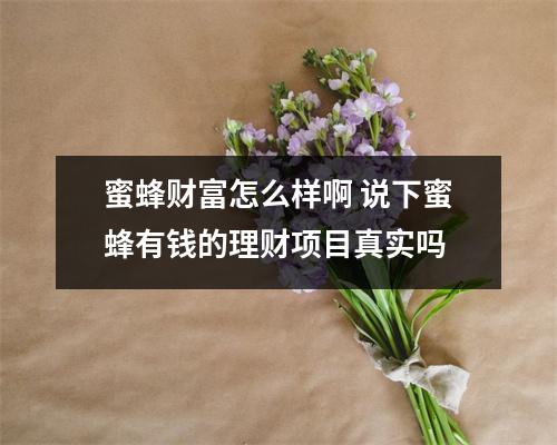 蜜蜂财富怎么样啊 说下蜜蜂有钱的理财项目真实吗