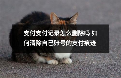 支付支付记录怎么删除吗 如何清除自己账号的支付痕迹