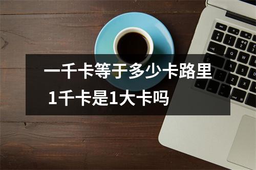 一千卡等于多少卡路里 1千卡是1大卡吗