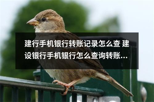 建行手机银行转账记录怎么查 建设银行手机银行怎么查询转账记录