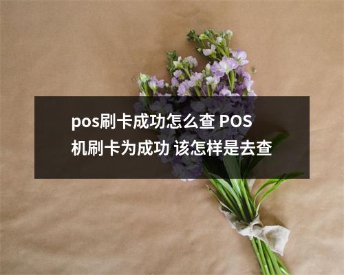 pos刷卡成功怎么查 POS机刷卡为成功 该怎样是去查