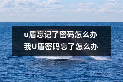 u盾忘记了密码怎么办 我U盾密码忘了怎么办