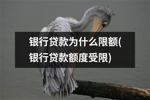 银行贷款为什么限额(银行贷款额度受限)
