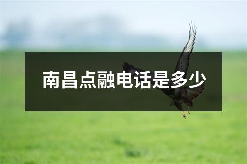 南昌点融电话是多少