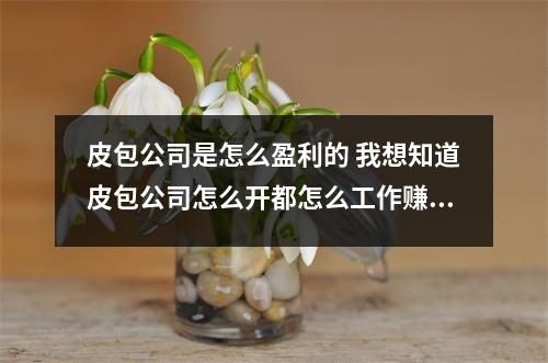 皮包公司是怎么盈利的 我想知道皮包公司怎么开都怎么工作赚钱的