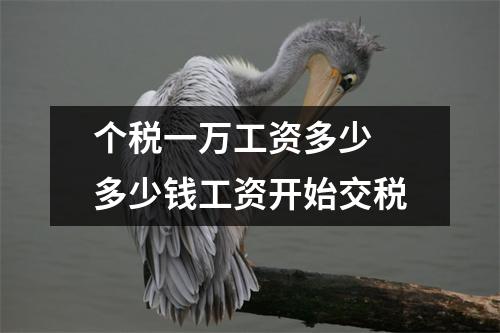 个税一万工资多少 多少钱工资开始交税