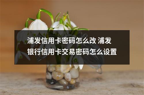 浦发信用卡密码怎么改 浦发银行信用卡交易密码怎么设置