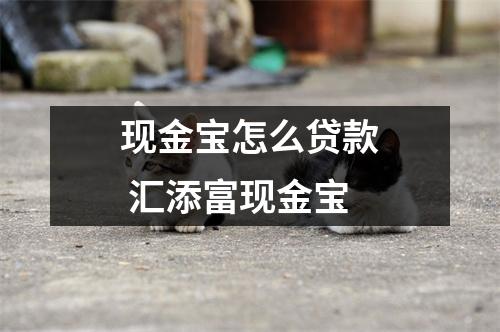 现金宝怎么贷款 汇添富现金宝