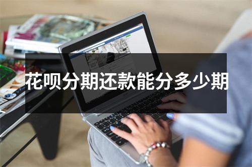 花呗分期还款能分多少期