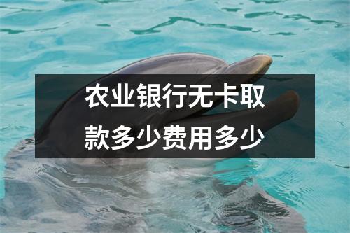 农业银行无卡取款多少费用多少