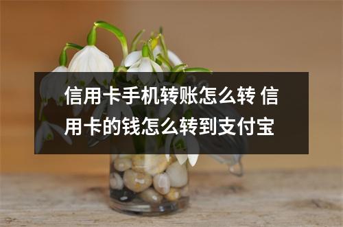 信用卡手机转账怎么转 信用卡的钱怎么转到支付宝