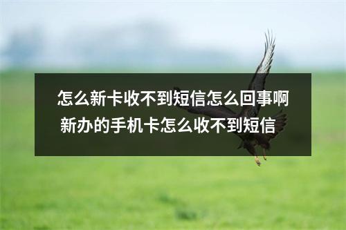 怎么新卡收不到短信怎么回事啊 新办的手机卡怎么收不到短信