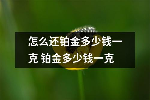 怎么还铂金多少钱一克 铂金多少钱一克