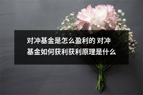 对冲基金是怎么盈利的 对冲基金如何获利获利原理是什么
