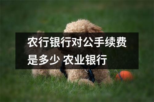 农行银行对公手续费是多少 农业银行
