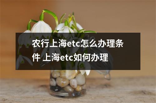 农行上海etc怎么办理条件 上海etc如何办理