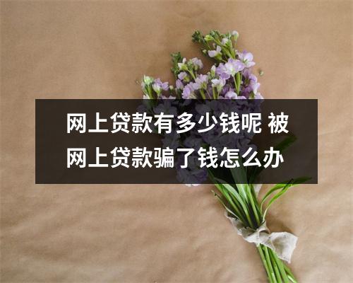 网上贷款有多少钱呢 被网上贷款骗了钱怎么办