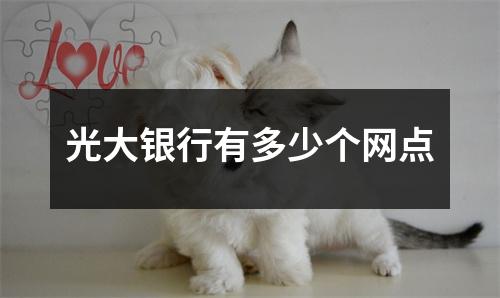 光大银行有多少个网点