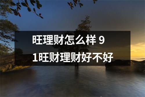 旺理财怎么样 91旺财理财好不好