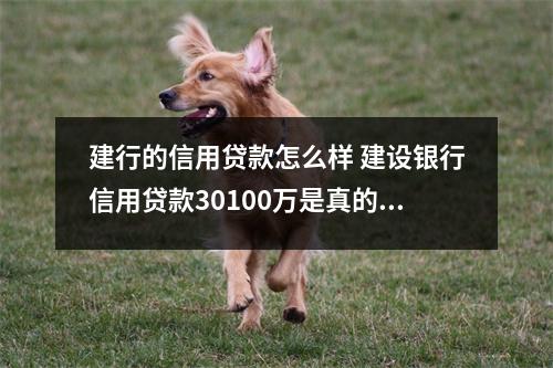 建行的信用贷款怎么样 建设银行信用贷款30100万是真的吗