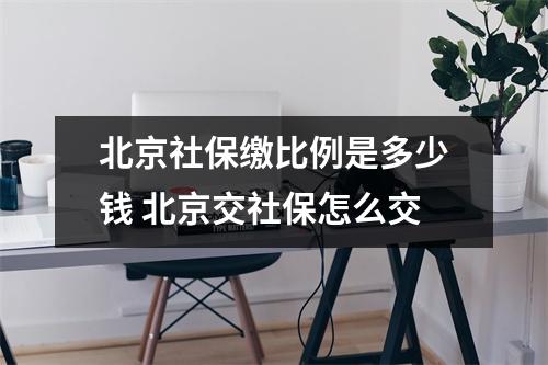 北京社保缴比例是多少钱 北京交社保怎么交