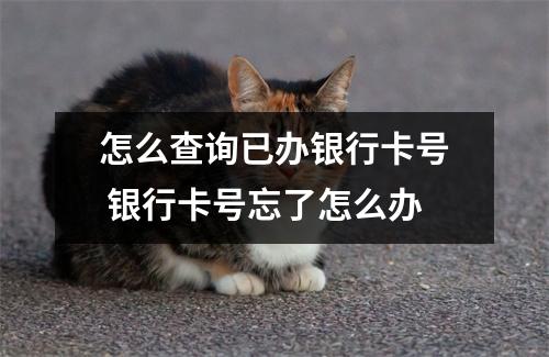 怎么查询已办银行卡号 银行卡号忘了怎么办