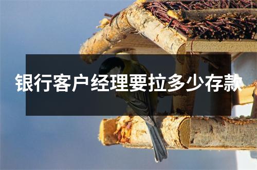银行客户经理要拉多少存款
