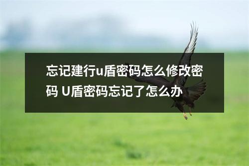 忘记建行u盾密码怎么修改密码 U盾密码忘记了怎么办